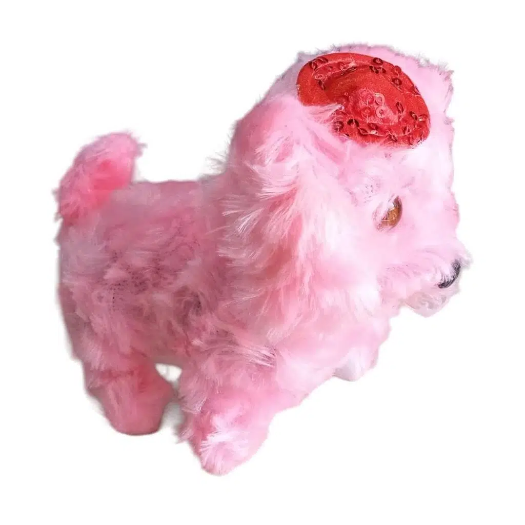 AKKU.PILLI YURUYEN KOPEK 11842/08172