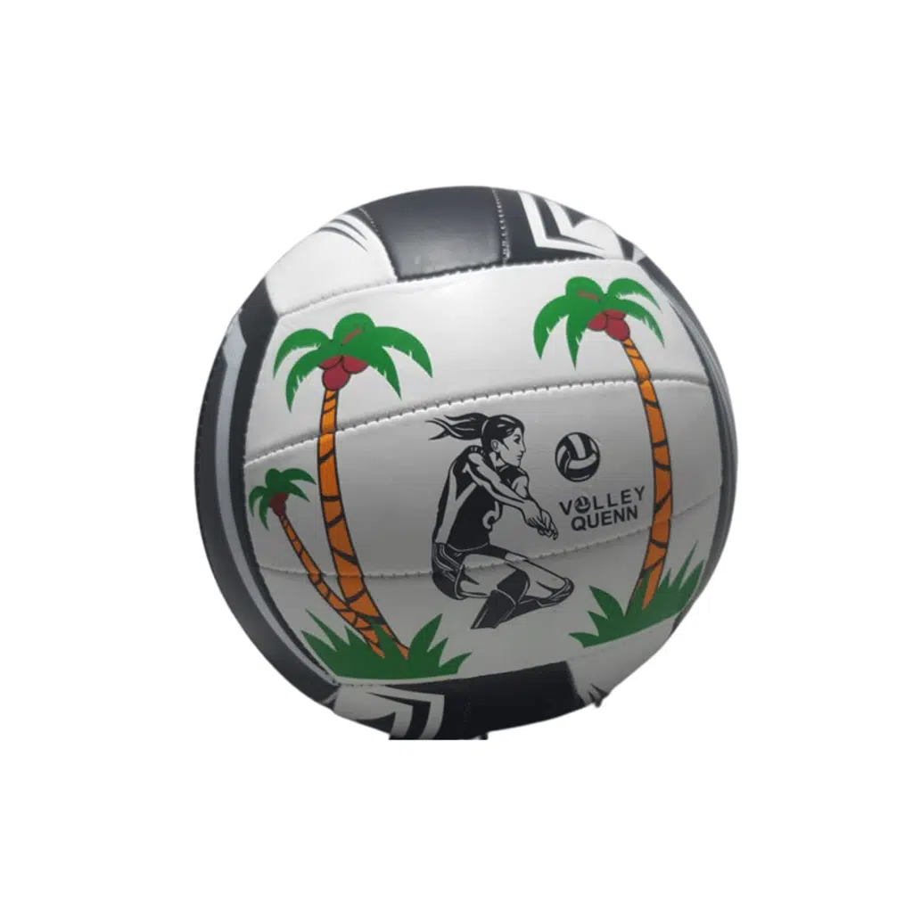 CANS.VOLEYBOL TOPU BSV-444) 70032