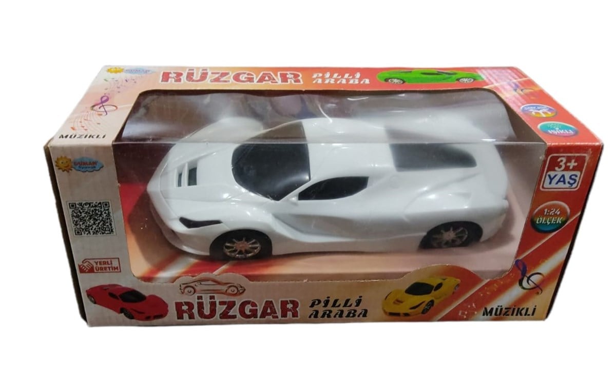 DUMN.RUZGAR PILLI CARP DON ARABA 02024 (DMN-2024)