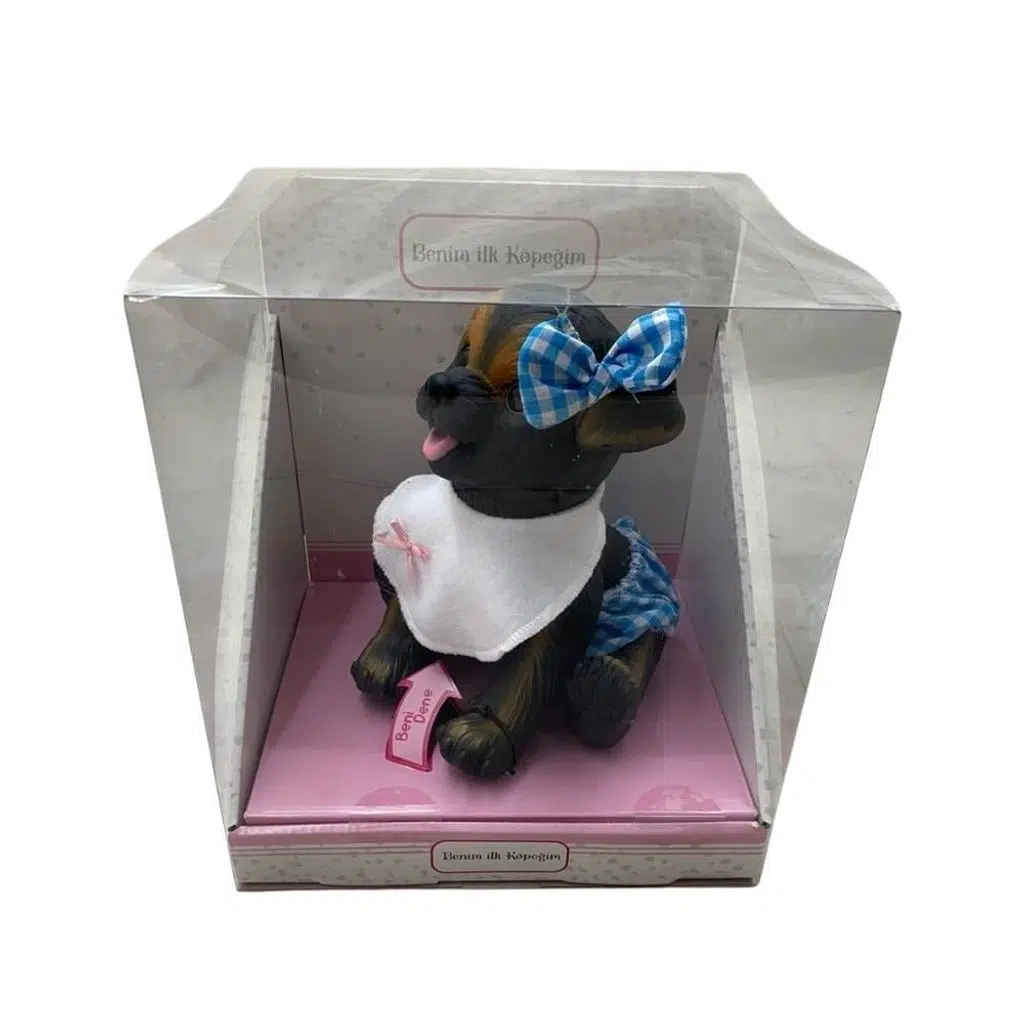 ERPA.BENIM ILK KOPEGIM SESLI 66241