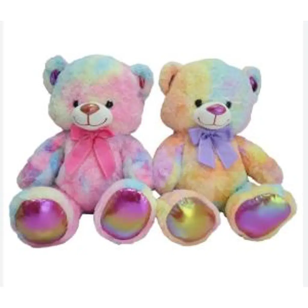 HLY.55 CM RENKLI AYI 62918