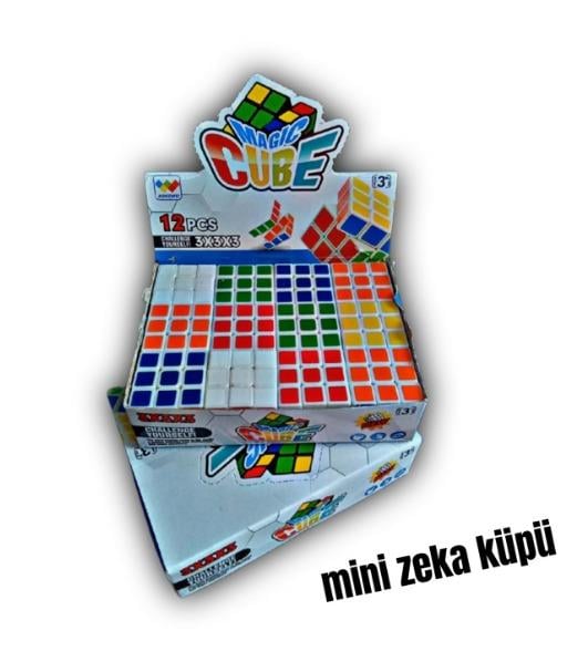 KARD.KUCUK ZEKA KUPU 10641 (888)