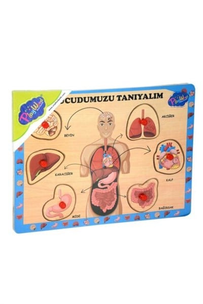 ONY.AHSAP TUTMALI VUCUDUMUZU TANIYALIM 99289