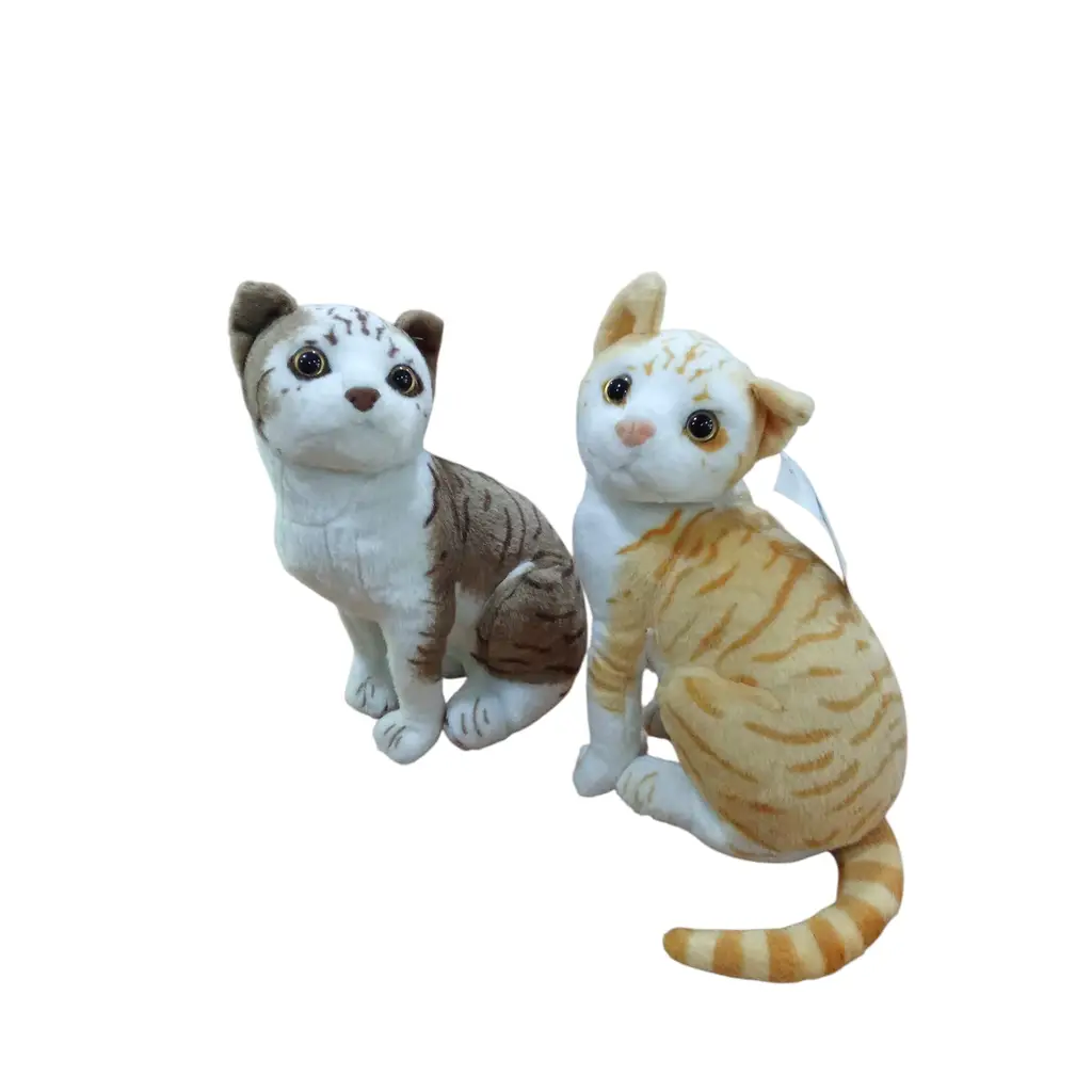 PASA.KEDI PELUS 14521
