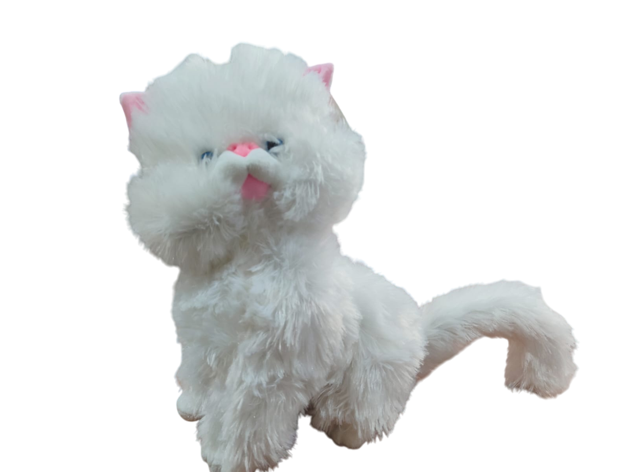 PASA.PELUS KEDI 14529
