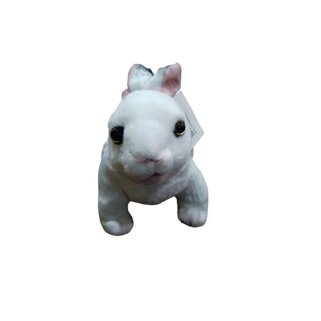 PASA.PELUS TAVSAN 14600