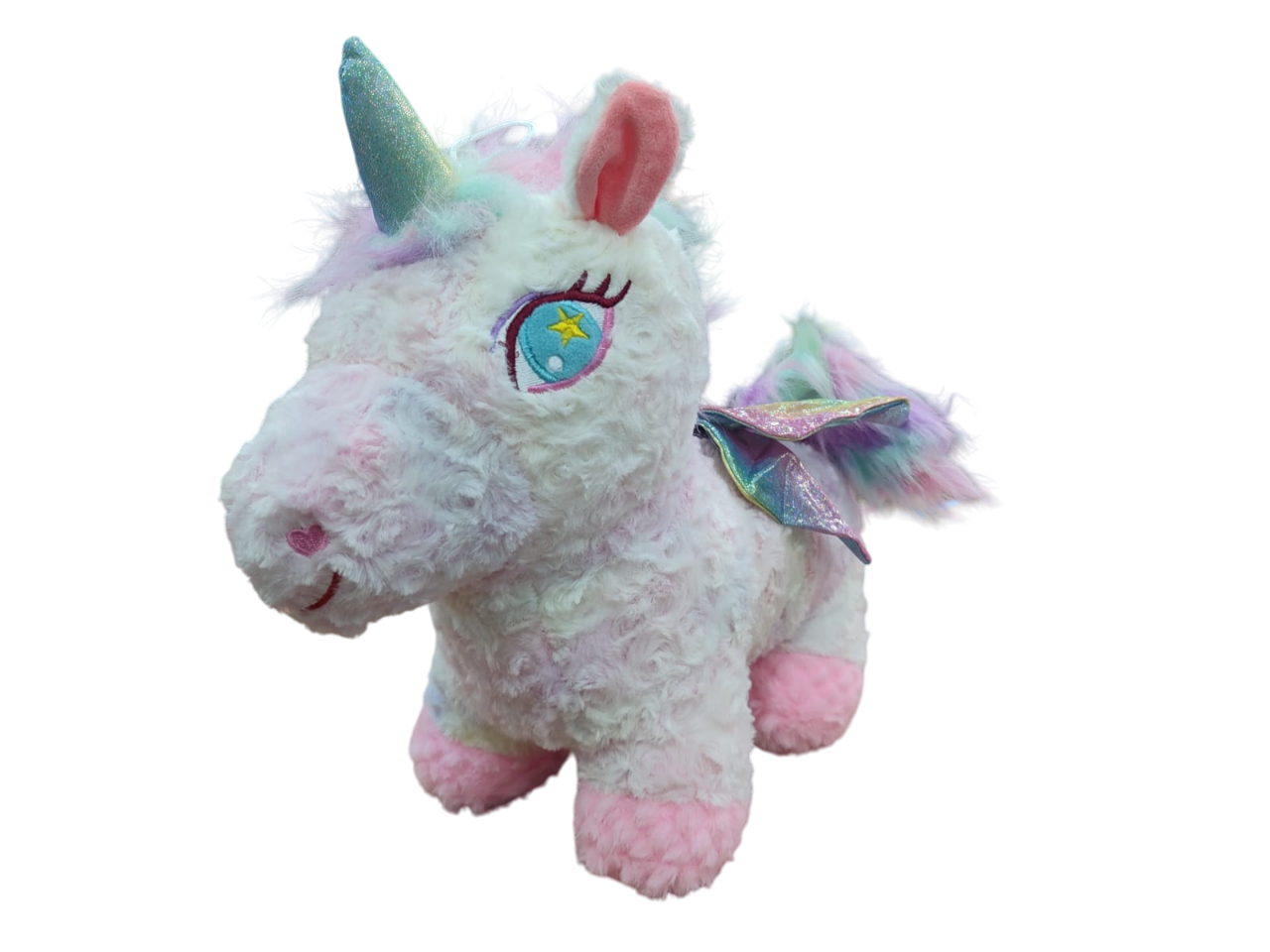 PASA.PONY AT 14565