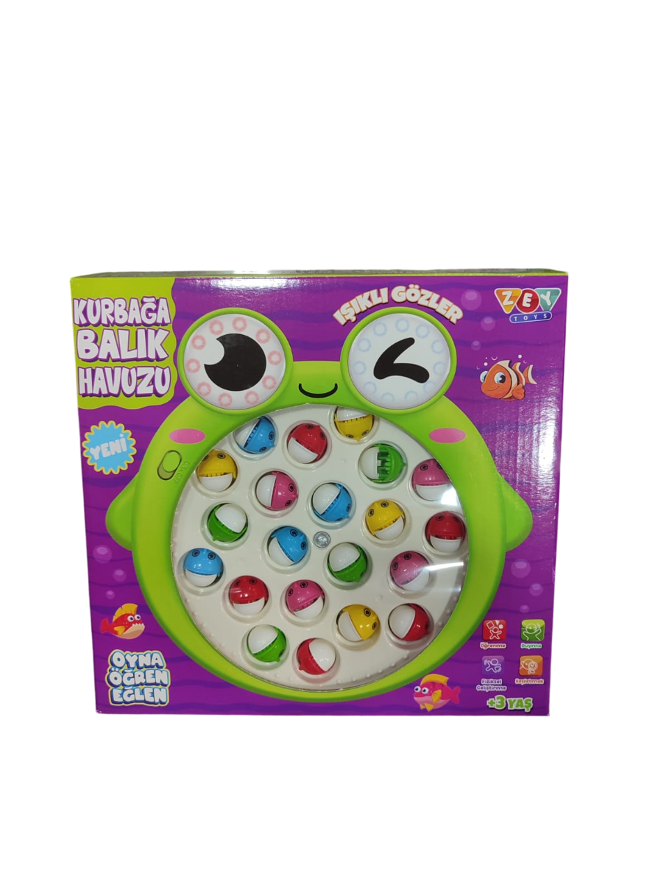 ZEY.KURBAGA VE BALIK HAVUZU 00015